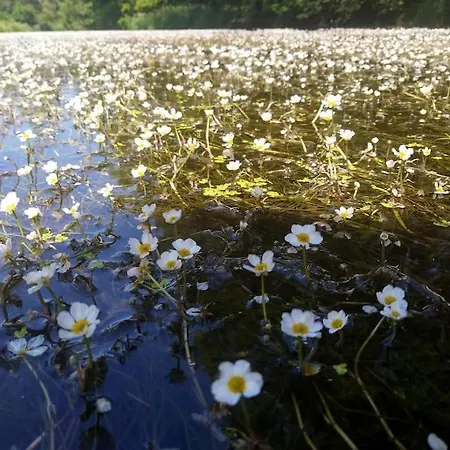 Ferienglueck Im Schwarzwald * Zimmern ob Rottweil